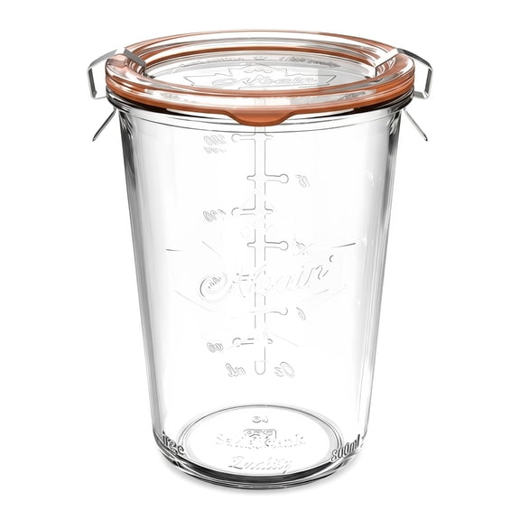 Glass Storage Containers with Lids, 27 oz Wide Mouth Airtight Glass Food Storage Jar for Sourdough Starter, Pantry Storage, Dry Goods and Fermentation, 1 Pack