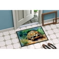 thumbnail image 4 of Turtles Tortoises Doormat 36 in x 24 in, 4 of 5