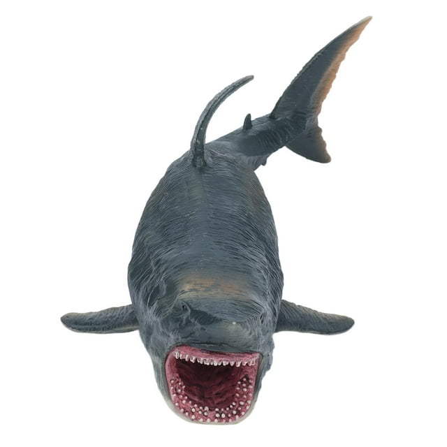 Figura De Animal De Tiburón, Regalo De Cumpleaños, Figura De Animal, Modelo De Animales Del Océano De Plástico Duradero Realista Para Jugar Para Niños Pequeños ANGGREK DA2013