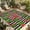 Black Light Beige Red Red, variant on Red Green Watermelon Outdoor Rug for Patio/Deck/Porch, Non-Slip Large Area Rug 4 x 6 Ft, Watercolor Botanical Black White Stripe Indoor Outdoor Rugs Washable Area Rugs, Camping Rug Carpet Runner
