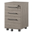 thumbnail image 1 of Ameriwood Parkside Mobile File Cabinet in Light Brown Oak, 1 of 10