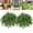 60leaves, variant on Premium UV Resistant Lifelike Artificial Boston Fern, Artificial Plants for Outdoor Planter Large, 38/60/88 Leaves Artificial Ferns for Outdoors Indoor Home Garden Porch Decor