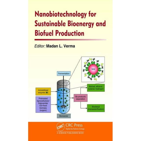 Nanobiotechnology for Sustainable Bioenergy and Biofuel Production, (Hardcover)