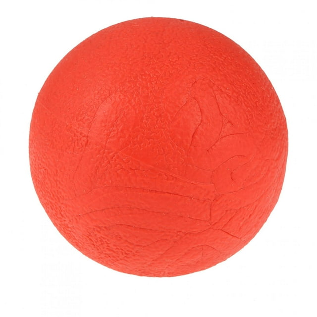 Pelota de goma maciza, juguete interactivo para entrenamiento de perros, masticar, morder, buscar, juguetes L
