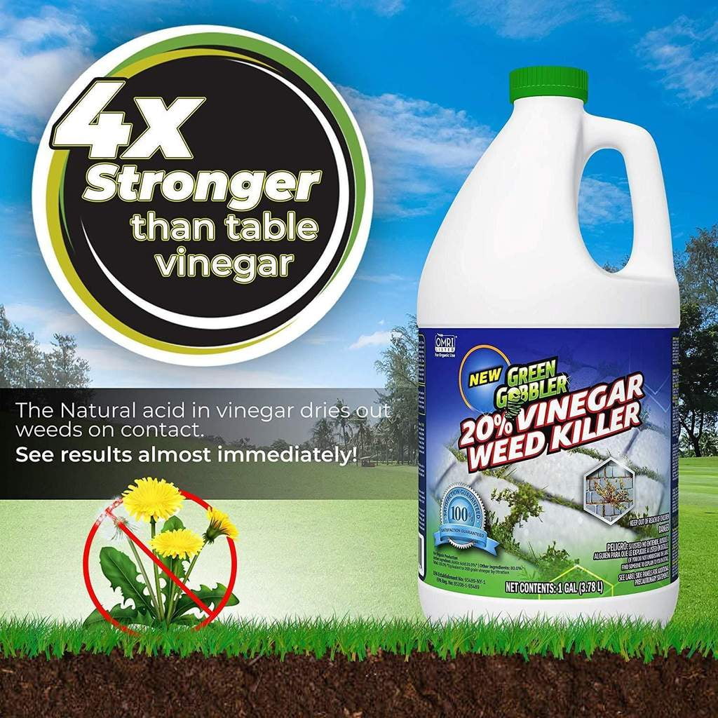 Green Gobbler 20% Vinegar Weed & Grass Elminator - Natural and Organic, Glyphosate Free Herbicide, 1 Gallon
