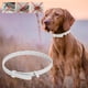 thumbnail image 5 of Collar Antipulgas Para Mascotas, Suministros Ajustables Para Mascotas, Cachorro Gato Para Collar De Perro, 5 of 8