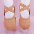thumbnail image 3 of TFEOQRY Ballet Shoes for Girls Soft Sole Non Slip Elastic Straps Canvas Dance Slippers, 3 of 9