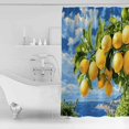thumbnail image 4 of 54x78 Inch Shower Curtain Decorative Yellow Lemon Bathtub Bath Curtains Fabric Waterproof Bathroom Decor Summer Blue Sky Coastal Scenery Small Stall Shower Curtain Set with 12 Hooks, 4 of 6