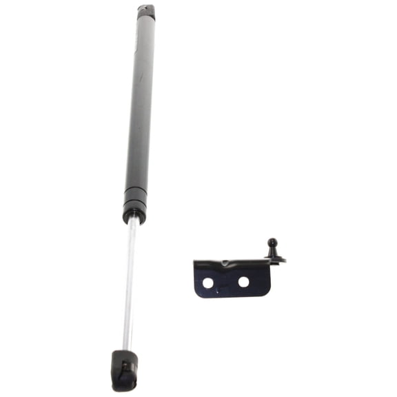 For 1998-2004 Rodeo Right Left Lift Support Glass 8971248713 IZ1910102