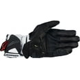 thumbnail image 2 of Alpinestars GP Pro R4 Mens Leather Motorcycle Gloves Black/Red Fluo 3XL, 2 of 2