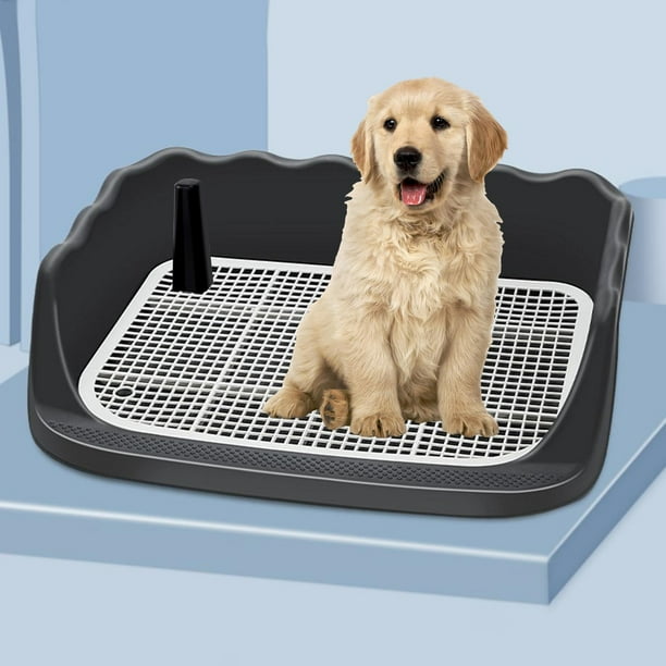 Dog crate shop with pee tray