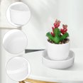 thumbnail image 4 of FRCOLOR 2pcs Ceramic Pot Saucers Round Flower Plant Water Catcher Trays Indoor Plant Drip Trays, 4 of 10