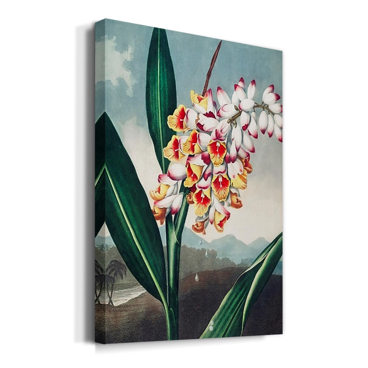 Temple of Flora VII Premium Gallery Wrapped Canvas - Ready to Hang