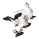 thumbnail image 4 of 7 piezas de simulación Mini cisnes modelo animales muñeca en miniatura juguetes adornos para decoraciones CUTICAT Juguete de figuras de animales, 4 of 8