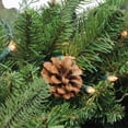 thumbnail image 2 of Northlight 5' PrelitArtificial Christmas Tree Medium Potted Mixed Winter Pine - Clear Lights, 2 of 2