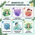 thumbnail image 3 of Rosemary Essential Oil, 10ml, Energizing Herbal Scent for Aromatherapy and Relaxation, 3 of 10