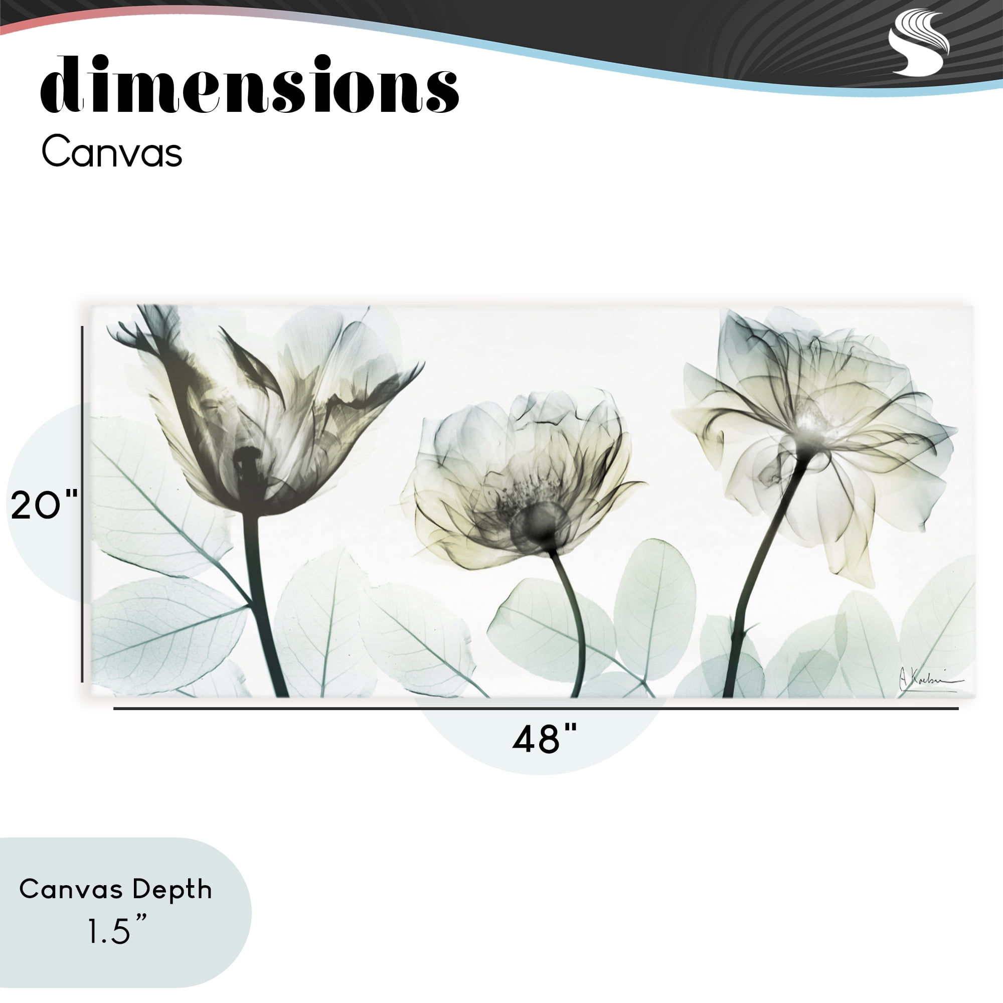 Stupell Industries Jewel of Passion Flowers Canvas Wall Art, design by Albert Koetsier