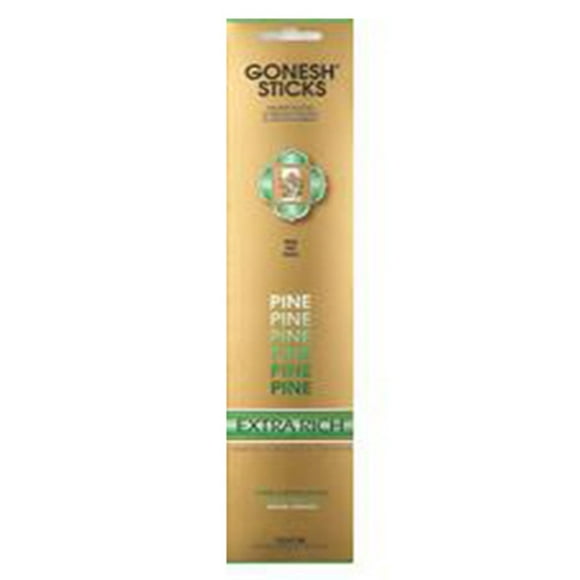 Gonesh Encens Extra Riche- Pin (20 Bâtonnets en 1 Pack) 208305