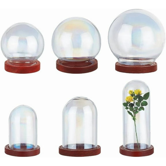 6 Styles Mini Glass Dome Cloche Clear Glass Display Case with Round Wooden Base Setting Bell Jar Terrarium for Valentine's Day Jewelry Ornaments Flower Decorations Craft