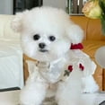 thumbnail image 3 of Adorable Pet Clothes for Cats & Small Dogs - Charming Spring & Autumn Wear, 3 of 4