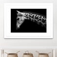 thumbnail image 3 of Giant Art 24x36 Williams - Calf Matted and Framed in White, 3 of 3