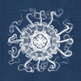 thumbnail image 2 of Vision Studio 15x15 Black Ornate Wood Framed with Double Matting Museum Art Print Titled - Sea Anemone on Indigo I, 2 of 4