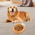 thumbnail image 6 of Pet Supplies Pet Feeding Slow Feeder Bowl for Cats and Dogs | Interactive Food Dish to Slow Eating and Promote Digestion for Indoor Use, 6 of 6