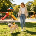 thumbnail image 4 of Breathable No-Pull Dog Harness and Leash Set for Small Medium Large Dogs Multi-Point Adjustable Metal D-Ring Bubble Cotton Padded Saddle Vest for Training Walking, 4 of 4