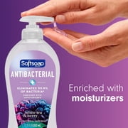 Softsoap Antibacterial Hand Soap, Eliminates 99% of Bacteria, White Tea & Berry Scent, 11.25 fl oz