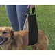 thumbnail image 4 of Arnés de Elevación para Perros Escalada / Levantamiento / Movilidad de Soporte Corporal, 4 of 9