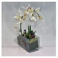 thumbnail image 5 of WGV Rectangle Block Glass Vase Bulk, Width 4", Length 12", Height 4", Clear Long Floral Container, Candle Holder for Home Office Wedding Decor, 8 Pieces, 5 of 8
