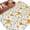 White, variant on Spring Daisy Area Rugs 5'x7', Washable Small Throw Rugs for Laundry Room Playroom, Country Vintage Yellow White Floral Leaf Indoor Outdoor Rug Non-Slip Low Pile Carpet Runner Reversible Floor Mats