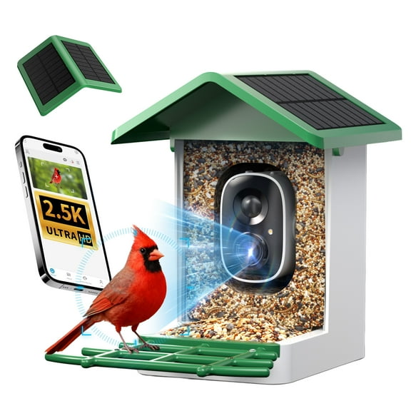 isYoung Bird Feeder with Camera, 4K HD AI Identify Bird Species, Smart Solar-Powered Bird Feeder, Auto Capture Bird& Motion Detection for Watching, Camera Bird Feeders Present for Bird Lovers, Green