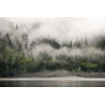 thumbnail image 2 of Paulson, Don 18x13 Black Ornate Wood Framed with Double Matting Museum Art Print Titled - Canada, BC, Fog-shrouded forest by ocean inlet, 2 of 4