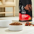 thumbnail image 2 of Pure Balance Pro+ Sensitive Skin & Stomach Dog Food, Salmon & Rice Recipe, 8 lb Bag, 2 of 10