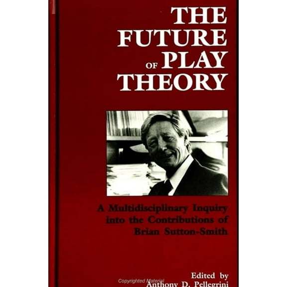 Suny Series, Children's Play in Society: The Future of Play Theory (Paperback)