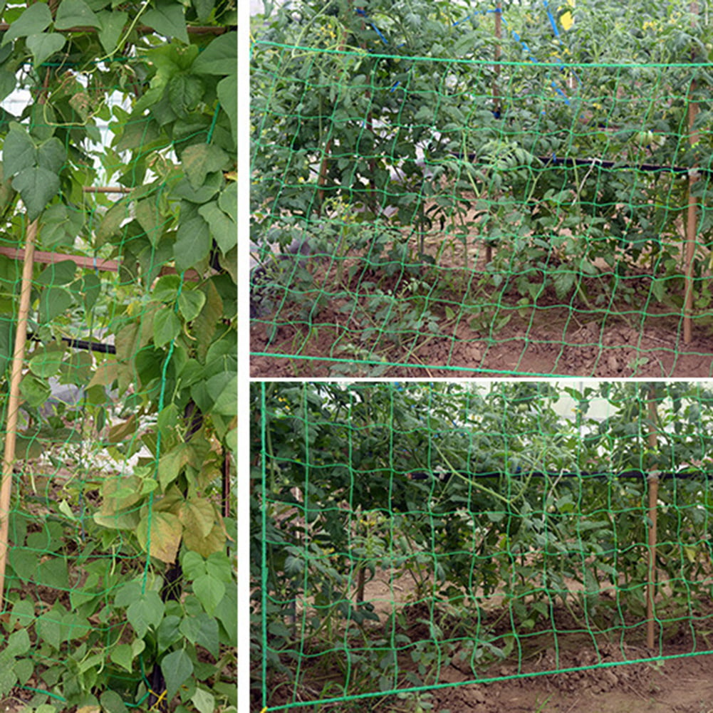 US Garden Nylon Trellis Netting Support Climbing Bean Plant Net Grow Fence Decor 