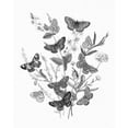 thumbnail image 2 of Gango Home Decor Contemporary Butterfly Bouquet I Linen BW I & Butterfly Bouquet II Linen BW II by Wild Apple Portfolio (Ready to Hang); Two 11x14in Gold Trim Framed Prints, 2 of 5