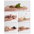 thumbnail image 4 of kusrkot kids children toy Simulation Animal Figures Set Growth Process Playset, 4 of 9