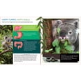 thumbnail image 5 of Brainy Creatures : le Koala, 5 of 5