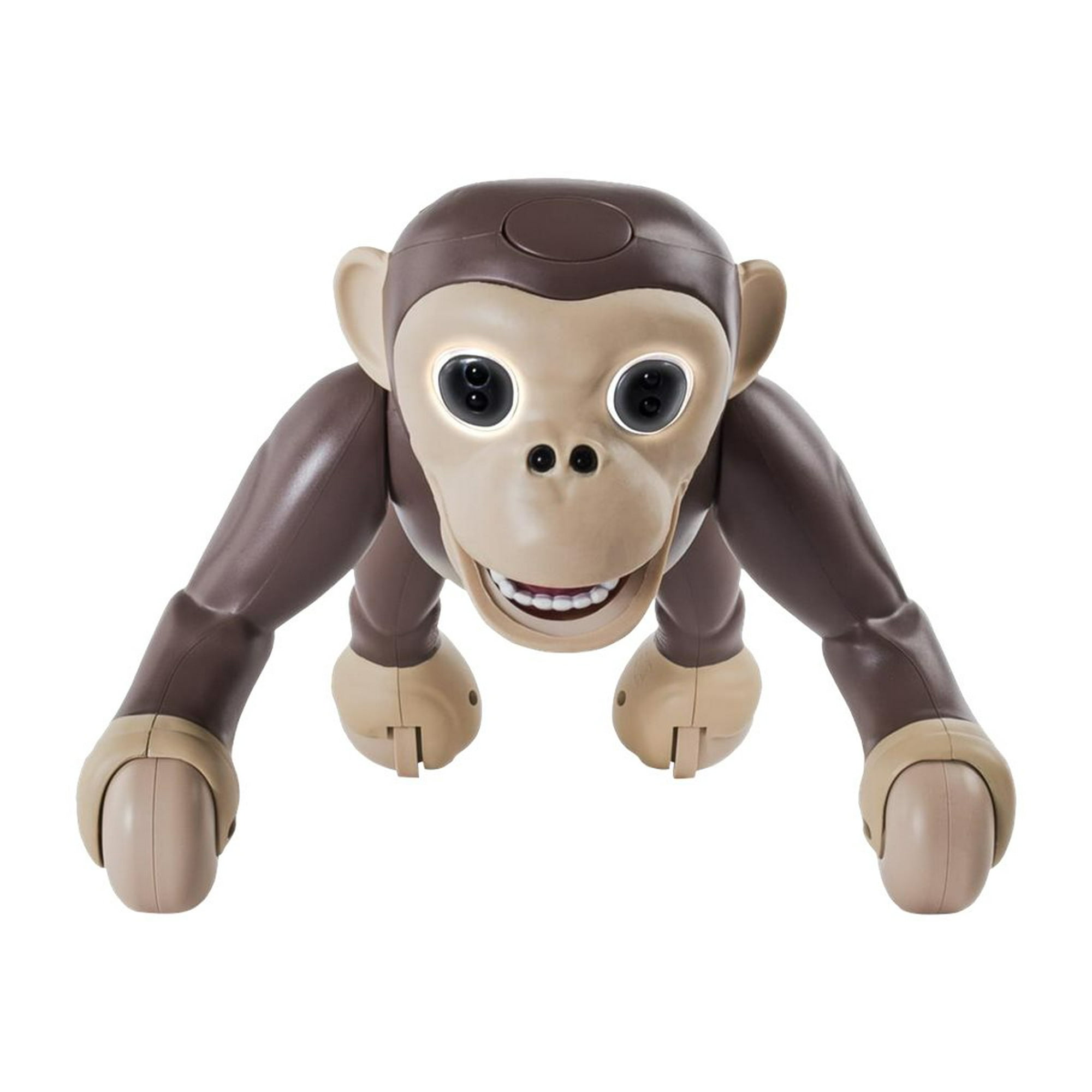 Zoomer - Chimp - Walmart.ca