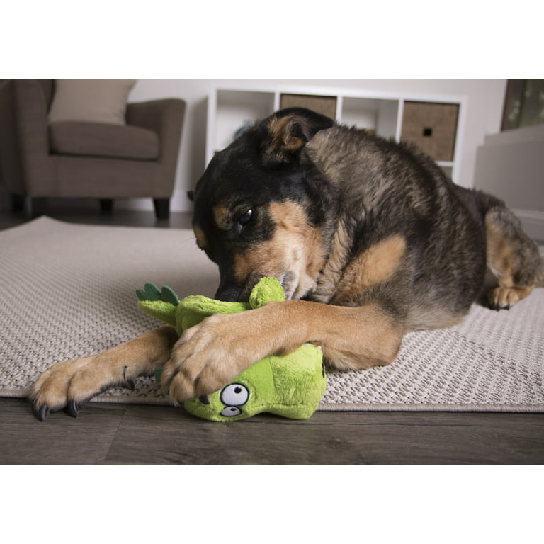 Go Dog Hear Doggy Mini Flattie Elephant With Chew Guard Technology And —  NurturePet Pet Supply