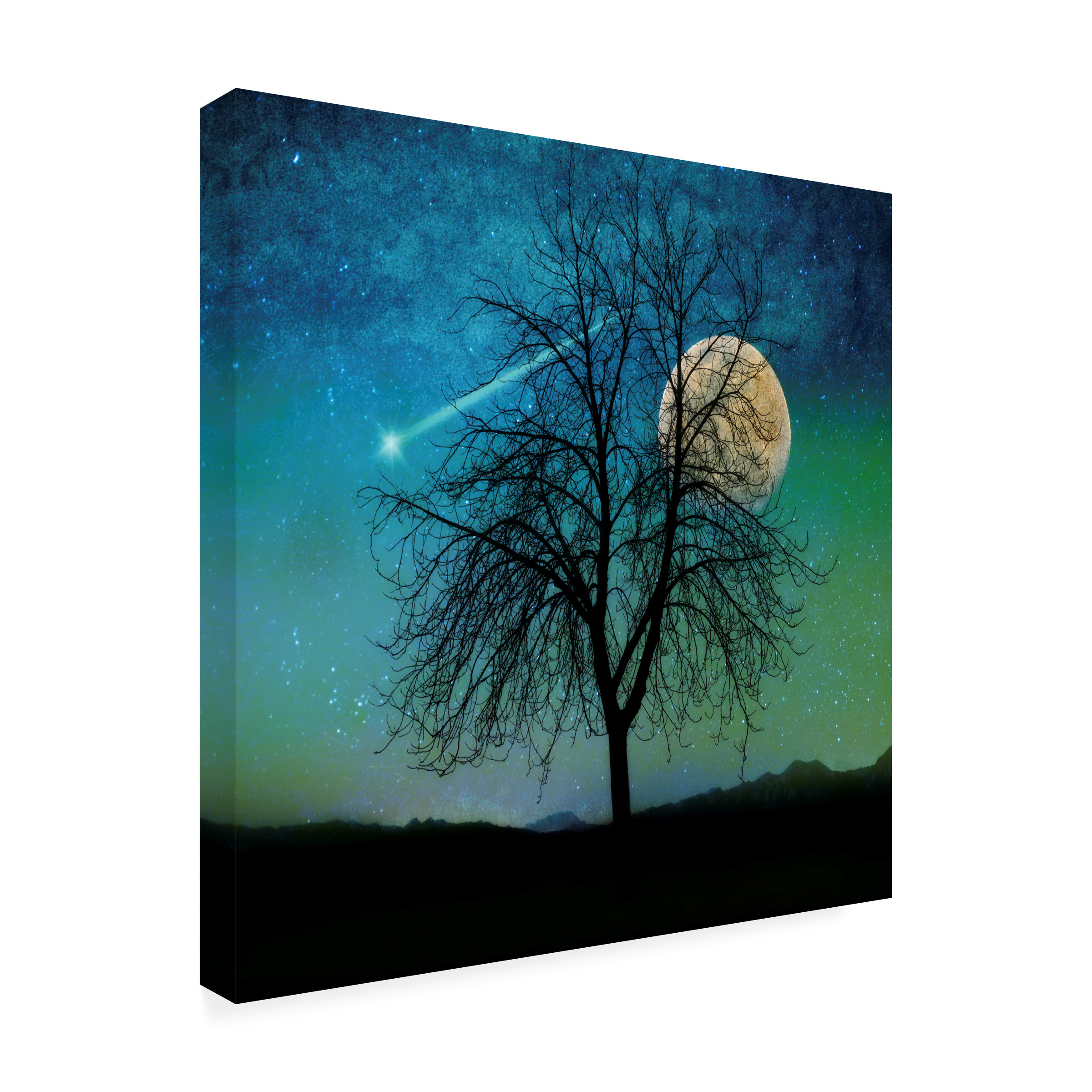 Trademark Fine Art 'Opalescent Sky' Canvas Art by Tina Lavoie