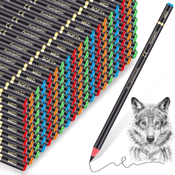 100 Pcs Charcoal Pencils Drawing Set, Charcoal Pencils bulk for Drawing Sketching Shading Blending Portrait Beginners and Artists(Black,Super Soft, Soft, Medium and Hard)