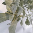 thumbnail image 2 of Faux Lambs Ear Stems 5Pcs Flocked Artificial Greenery Solid Spray Fake Rabbit Ear Leaves for Home We, 2 of 5