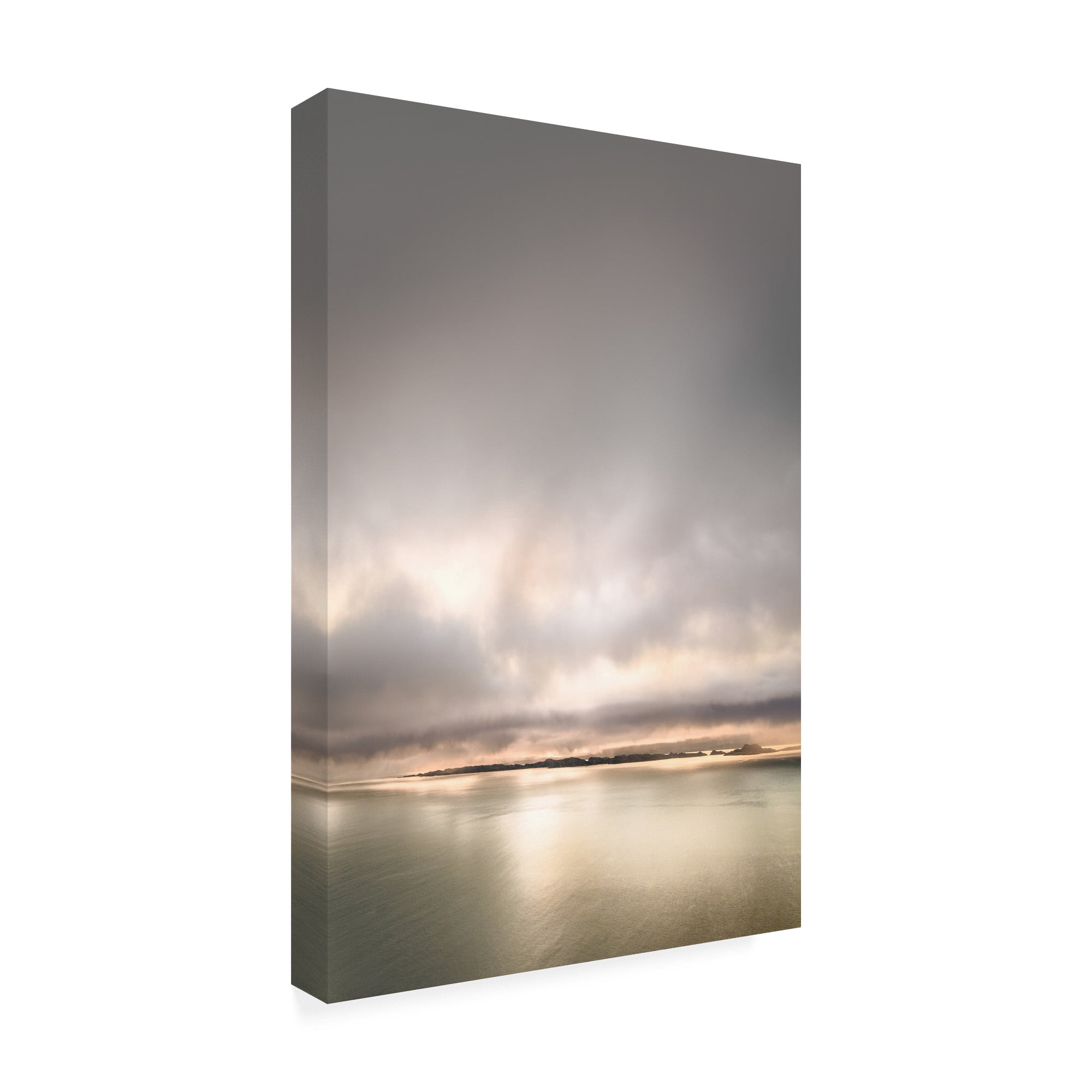 Trademark Fine Art 'Golden Horizons' Canvas Art by Lynne Dougla