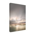 thumbnail image 2 of Trademark Fine Art 'Golden Horizons' Canvas Art by Lynne Dougla, 2 of 3