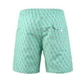 thumbnail image 7 of Beautiful Giant Boys Casual Swim Trunks Quick Dry Hawaii Style Swimwear Mesh liner, Sizes 8-18, 7 of 7