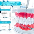thumbnail image 3 of Utopia Care Dental Tools Professional Plaque Remover Teeth Cleaning Tool, Dental Pick Stainless Steel, 6.5 Inch Double Sided Tartar Scraper Hard Plaque Remover Metal Tooth Picks Dentist, Oral Care, 3 of 6