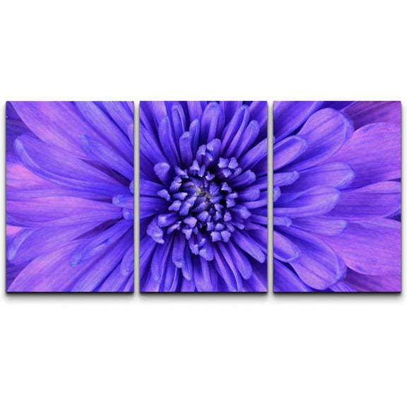 wall26 Canvas Print Wall Art Close Up of Blue Chrysanthemum Flower Floral Botanical Photography Modern Rustic Scenic Relax/Calm Multicolor Colorful for Living Room, Bedroom, Office - 24"x36"